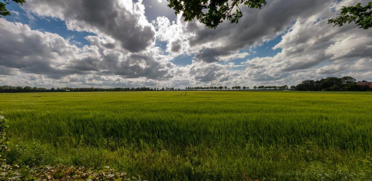 Appartementen Buitenwedde Westerwolde Bagian luar foto